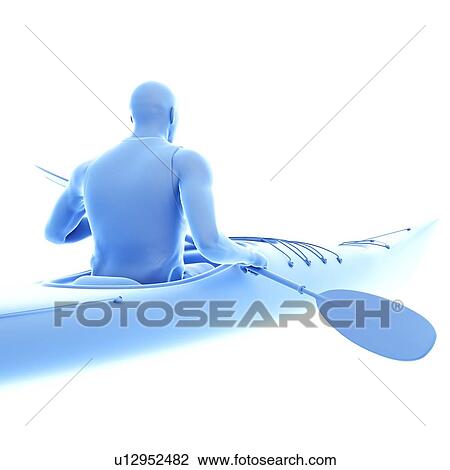 Stock Image - Canoeist, illustration. Fotosearch