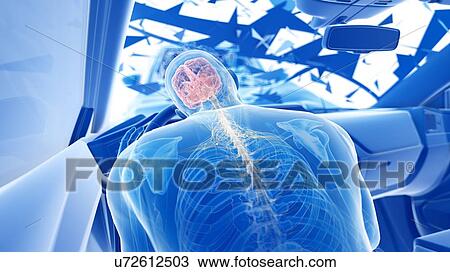 Stock Image - Car crash, computer illustration.. Fotosearch