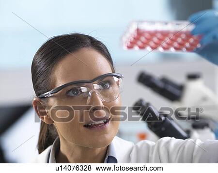Cell research. Scientist viewing cell samples in a multiwell plate. View Large Photo Image Stock Photo - Cell research. Scientist viewing cell samples in a multiwell plate.. Fotosearch