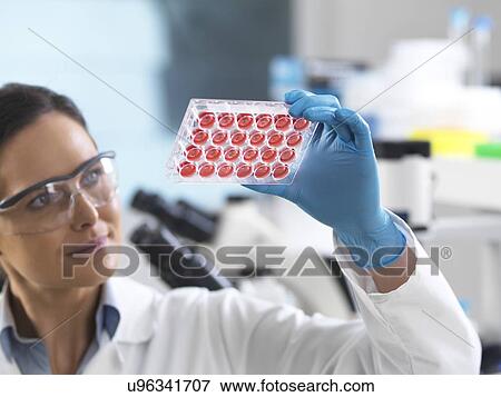 Stock Photo - Cell research. Scientist viewing cell samples in a multiwell plate.. Fotosearch