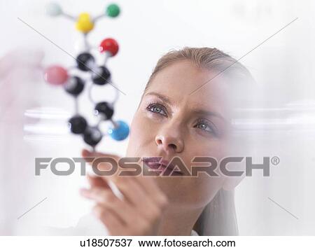 Stock Photo - Chemistry research, conceptual image. Scientist using a molecular model to understand a chemical formula.. Fotosearch