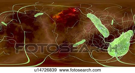 Stock Photo - Clostridium difficile bacteria with peritrichous flagella, computer illustration. C. difficile is a Gram-positive, anaerobic, spore forming, rod-shaped prokaryote with peritrichous flagella. It is a normal part of the intestinal flora, especially in.... Fotosearch