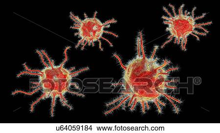 Picture - Computer illustration of abstract pathogenic microorganisms.. Fotosearch