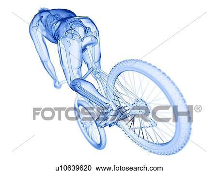 Cyclist, computer illustration. View Large Photo Image Stock Image - Cyclist, computer illustration.. Fotosearch