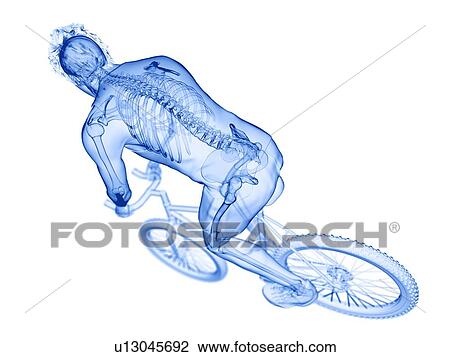 Stock Image - Cyclist, computer illustration.. Fotosearch