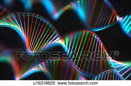 DNA (deoxyribonucleic acid) molecules, computer illustration. View Large Photo Image Stock Image - DNA (deoxyribonucleic acid) molecules, computer illustration.. Fotosearch
