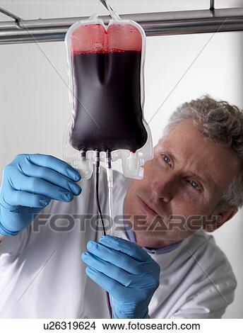 Donor blood processing. The donor blood is being separated into its component parts. View Large Photo Image Picture - Donor blood processing. The donor blood is being separated into its component parts.. Fotosearch