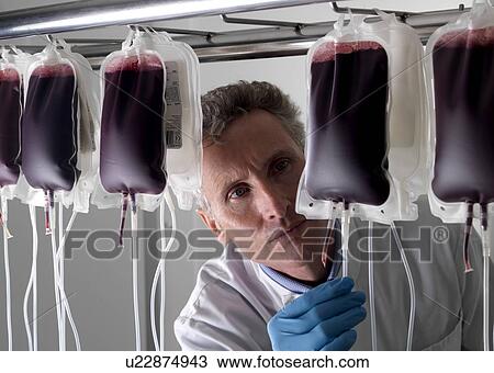 Stock Image - Donor blood processing. The donor blood is being separated into its component parts.. Fotosearch