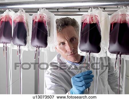 Stock Photo - Donor blood processing. The donor blood is being separated into its component parts.. Fotosearch