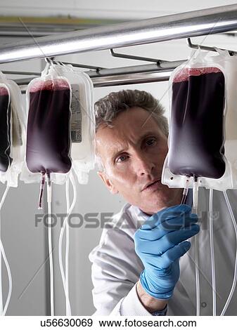 Stock Photo - Donor blood processing. The donor blood is being separated into its component parts.. Fotosearch