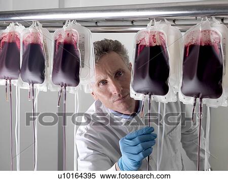 Donor blood processing. The donor blood is being separated into its component parts. View Large Photo Image Stock Photography - Donor blood processing. The donor blood is being separated into its component parts.. Fotosearch