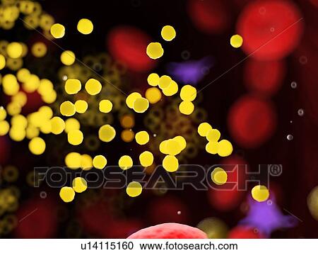 Stock Image - Fat in blood vessels, computer illustration.. Fotosearch