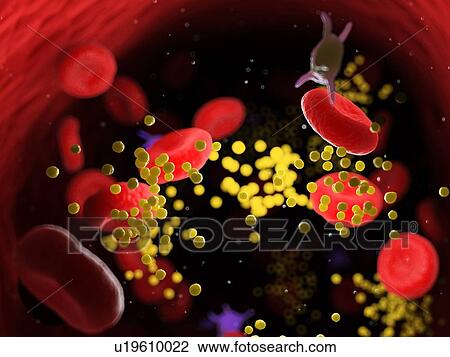 Stock Image - Fat in blood vessels, computer illustration.. Fotosearch