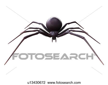 Stock Image - Female black widow spider, illustration. Fotosearch