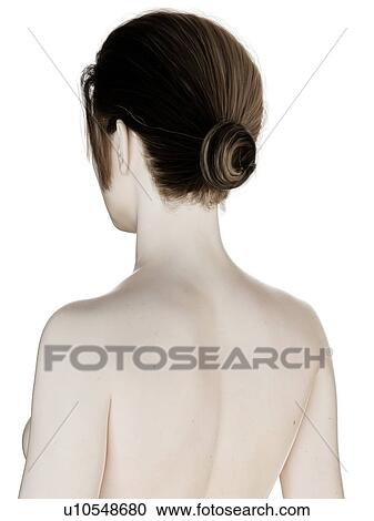 Stock Image - Female head, illustration. Fotosearch