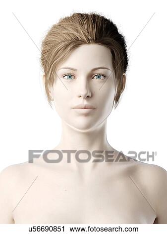 Female head, illustration View Large Photo Image Stock Image - Female head, illustration. Fotosearch