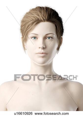 Stock Photograph - Female head, illustration. Fotosearch