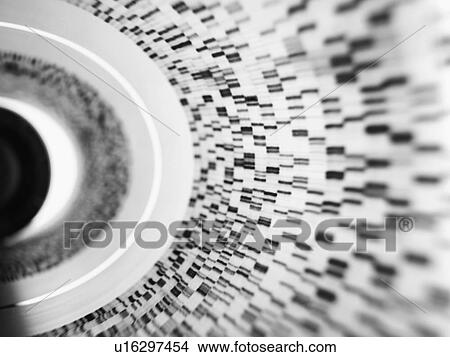Picture - Genetics research. DNA (deoxyribonucleic acid) autoradiogram illustrating genetic results.. Fotosearch