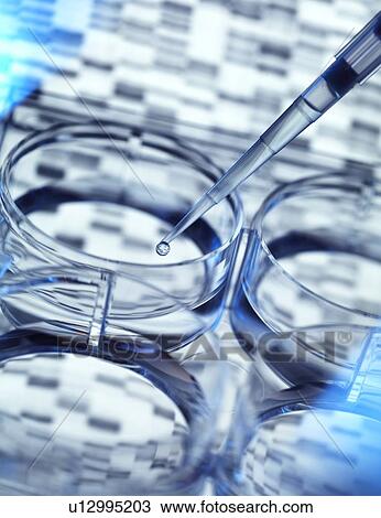 Stock Image - Genetics research. Sample of DNA (deoxyribonucleic acid) being pipetted into a multi well plate, with a DNA sequence in the background.. Fotosearch