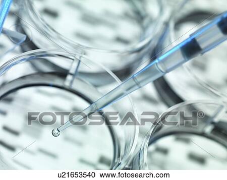 Stock Image - Genetics research. Sample of DNA (deoxyribonucleic acid) being pipetted into a multi well plate, with a DNA sequence in the background.. Fotosearch