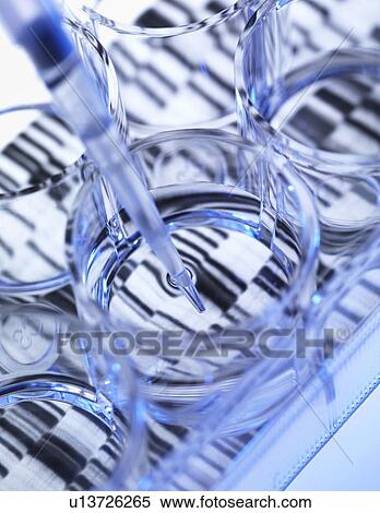 Stock Photography - Genetics research. Sample of DNA (deoxyribonucleic acid) being pipetted into a multi well plate, with a DNA sequence in the background.. Fotosearch