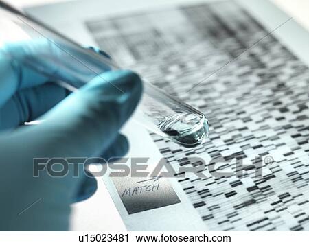 Genetics research. Test tube containing a diluted specimen of DNA (deoxyribonucleic acid) alongside a DNA autoradiogram. View Large Photo Image Stock Image - Genetics research. Test tube containing a diluted specimen of DNA (deoxyribonucleic acid) alongside a DNA autoradiogram.. Fotosearch
