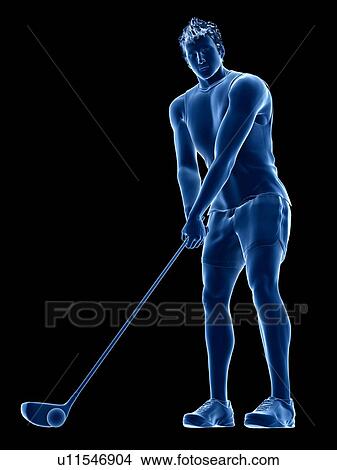Picture - Golf player, illustration. Fotosearch