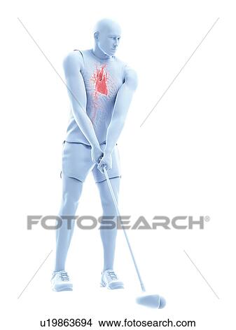 Golf player's heart, illustration View Large Photo Image Picture - Golf player's heart, illustration. Fotosearch