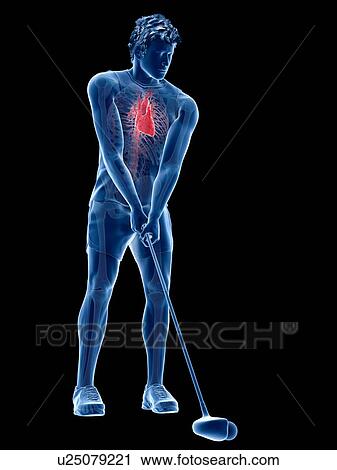 Golf player's heart, illustration View Large Photo Image Stock Image - Golf player's heart, illustration. Fotosearch