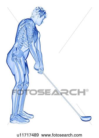 Golf player's skeleton, illustration View Large Photo Image Stock Photo - Golf player's skeleton, illustration. Fotosearch