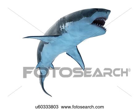 Stock Image - Great white shark, computer illustration.. Fotosearch