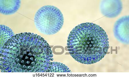 Group of viruses, computer illustration. View Large Photo Image Stock Image - Group of viruses, computer illustration.. Fotosearch
