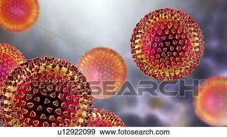 Group of viruses, computer illustration. View Large Photo Image Stock Photo - Group of viruses, computer illustration.. Fotosearch