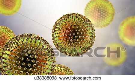 Group of viruses, computer illustration. View Large Photo Image Stock Photo - Group of viruses, computer illustration.. Fotosearch