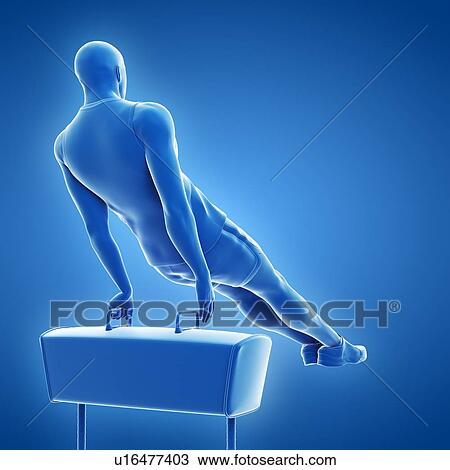 Stock Image - Gymnast, illustration. Fotosearch