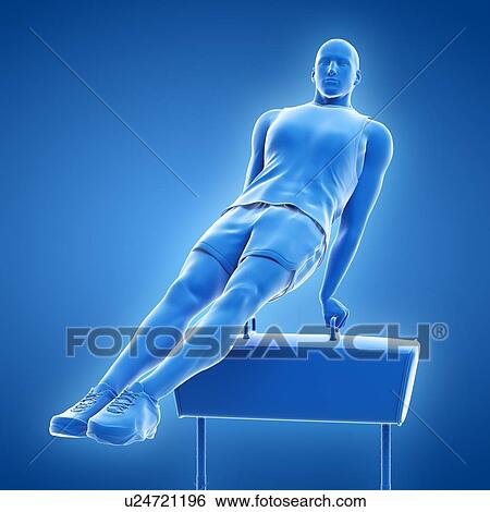 Stock Photograph - Gymnast, illustration. Fotosearch