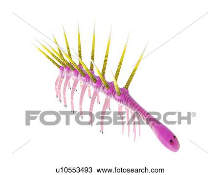 Stock Image - Hallucigenia marine invertebrate, computer illustration.. Fotosearch