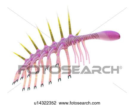 Stock Image - Hallucigenia marine invertebrate, computer illustration.. Fotosearch