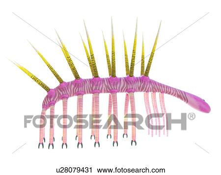 Hallucigenia marine invertebrate, computer illustration. View Large Photo Image Stock Image - Hallucigenia marine invertebrate, computer illustration.. Fotosearch
