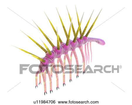 Stock Photograph - Hallucigenia marine invertebrate, computer illustration.. Fotosearch