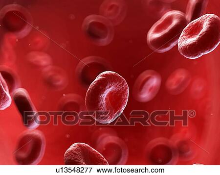 Stock Photo - Human blood cells, illustration. Fotosearch