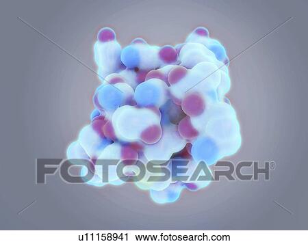 Insulin molecule, illustration. Insulin is a protein hormone produced in the pancreas that regulates the metabolism of carbohydrates, proteins and fats. It does this by promoting the uptake of glucose from the blood into liver cells, skeletal muscle... View Large Photo Image Stock Image - Insulin molecule, illustration. Insulin is a protein hormone produced in the pancreas that regulates the metabolism of carbohydrates, proteins and fats. It does this by promoting the uptake of glucose from the blood into liver cells, skeletal muscle.... Fotosearch