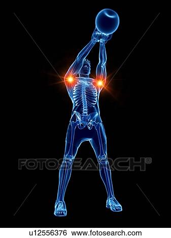Joint pain during kettlebell workout, conceptual computer illustration. View Large Photo Image Stock Photograph - Joint pain during kettlebell workout, conceptual computer illustration.. Fotosearch