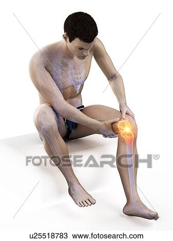 Stock Image - Knee pain, conceptual illustration.. Fotosearch
