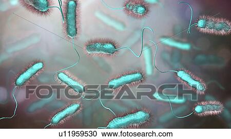 Stock Image - Legionnaires' disease bacteria. Computer illustration of Legionella pneumophila bacteria, the cause of Legionnaires' disease. These bacilli (rod-shaped bacteria) are Gram-negative. L. pneumophila was identified as a pathogen (agent of disease) after a.... Fotosearch