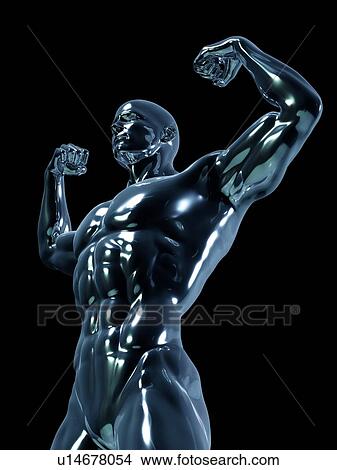 Male anatomy, illustration View Large Photo Image Picture - Male anatomy, illustration. Fotosearch