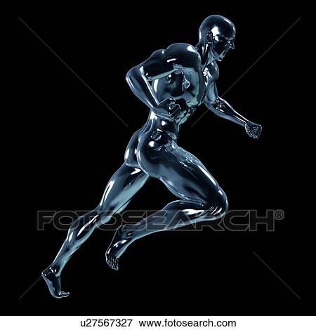 Male anatomy, illustration View Large Photo Image Stock Photo - Male anatomy, illustration. Fotosearch