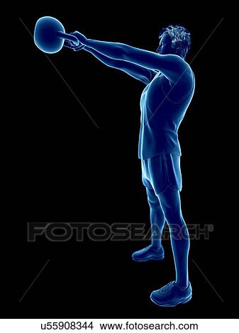 Picture - Man doing kettlebell workout, conceptual computer illustration.. Fotosearch