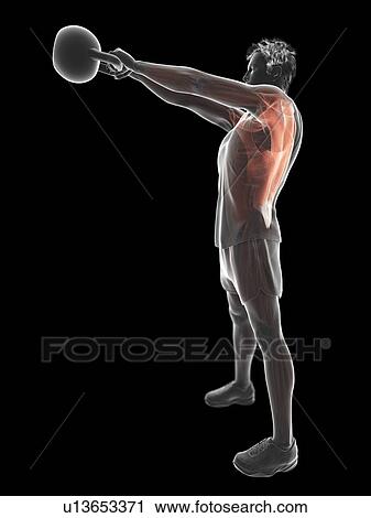 Stock Image - Man doing kettlebell workout, conceptual computer illustration.. Fotosearch