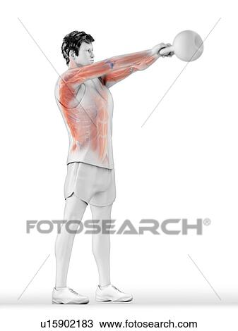 Stock Image - Man doing kettlebell workout, conceptual computer illustration.. Fotosearch